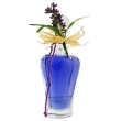 Пена для ванны "Lavender", цвет: фиолетовый, 150 мл Германия Артикул: 5026426 Товар сертифицирован инфо 1196r.
